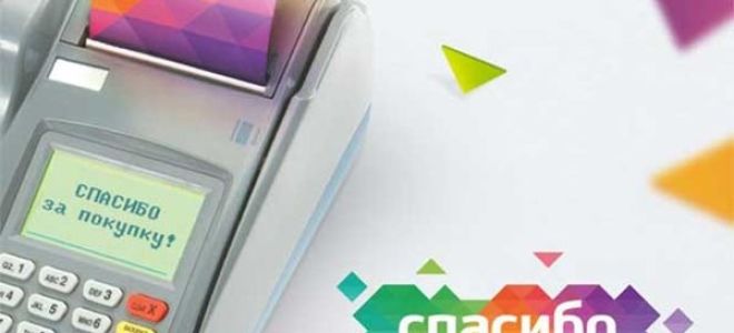 Как подключить Спасибо от Сбербанка?